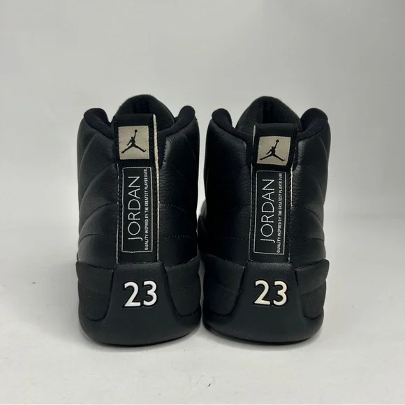 Nike Air Jordan 12 Retro “The Master” 2023 - Picture 5 of 8